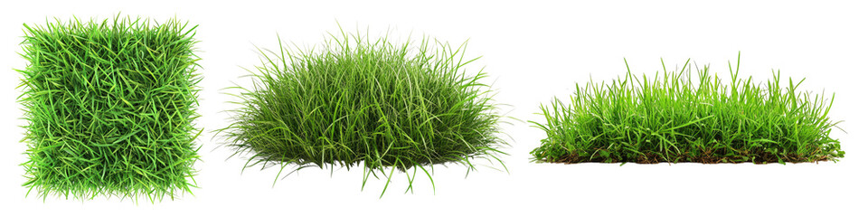Obraz premium Patch of grass isolated on transparent background, Set of