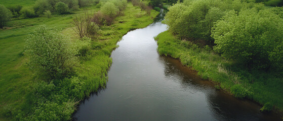 Serene Aerial View of a Winding River Through Lush Green Landscape