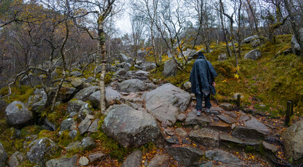 Hiking Through a Rocky Forest Trail on a Rainy Day