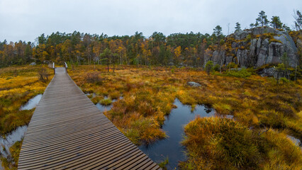 A wooden boardwalk stretches through a marshy landscape with autumn foliage, surrounded by trees and rocky hills under an overcast sky.