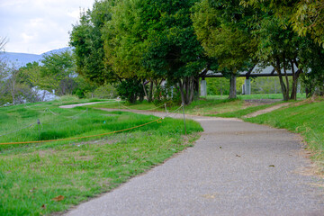 緑豊かな小道が続く静かな公園の風景