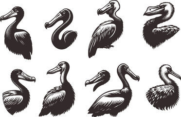 Dodo Silhouette for Illustrations © MehmetKemal