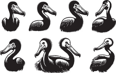 Dodo Head Minimalist Vector © MehmetKemal