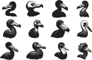 Vintage Dodo Head Vector © MehmetKemal