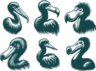Dodo Bird Head Illustration © MehmetKemal