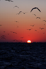 Sunrise in Florida, Sunset in Florida, Beaches, Sand, Water, Sub, Relaxation