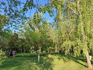 Fototapete bei efototapeten.de bestellen   