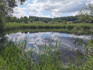 vidnava old loucky lake
