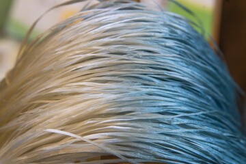 Close-up of silk thread produced by silkworms.