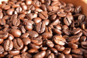 Fototapeten Un tas de grains de café à la lumière du soleil  © Romain P19