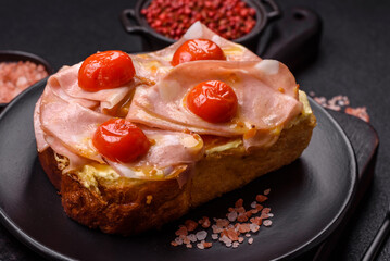 Sandwich with brioche, meat, melted cheese, ham, tomatoes, salt, spices and herbs