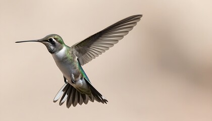 Fototapeta premium Tiny life's graceful flight, capturing moments with intricate wings.