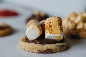 Homemade american chocolate chip cookie with burnt marshmallows with other cookies on background.