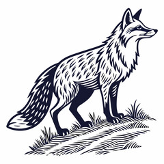 Fototapeta premium wolf vector illustration