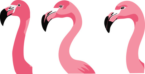 Stunning Flamingo Illustration for Exotic Designs