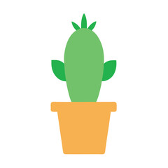 cactus in a pot