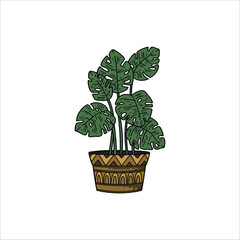 monstera plant handmade art drawing