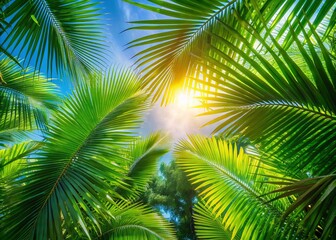 Obraz premium Aerial View of Lush Fresh Palm Leaves Bathed in Sunlight, Evoking a Vibrant Green Plant Background Ideal for Summer Themes and Nature Inspired Designs