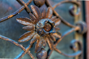 Intricate wrought iron flower design on a vintage gate illuminated by soft sunlight