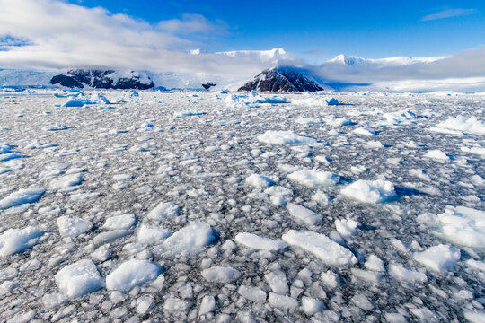 View of brash ice and snow-capped mountains in Neko Harbor in Andvord Bay, Antarctica