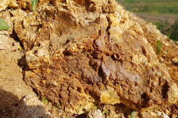 A piece of siliceous rock with a chalcedony crust lying on the ground, geological background