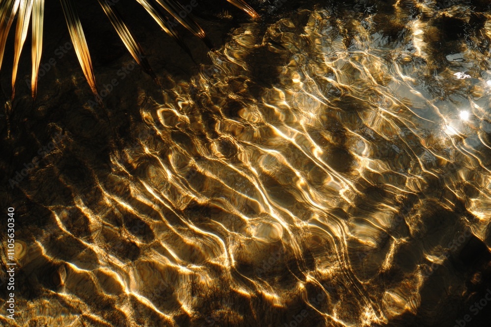 Poster The shimmering light patterns create an enchanting play of light on the sandy seafloor, echoing a sense of calm and wonder beneath the water's surface.