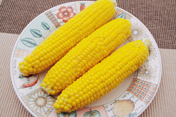 夏野菜　トウモロコシ