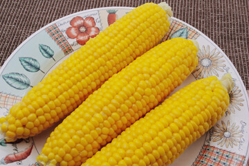 夏野菜　トウモロコシ