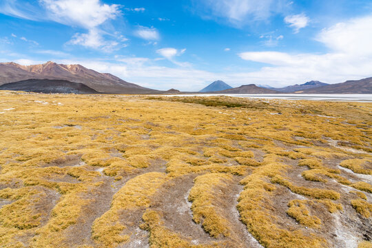 El Misti and Chachani volcanoes seen from salt flats of Salinas y Aguada Blanca National Reserve, Arequipa Region, Peru
