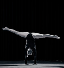 ballet dancer in ballet pose