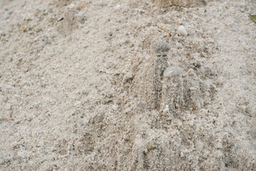 This high-angle close-up showcases a substantial pile of light gray construction sand.
