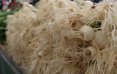 Green onion on the market - Image