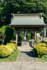 Obraz premium 吉田神社（茨城県水戸市宮内町）菊と手水舎