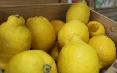 Fresh lemons with water drops as background