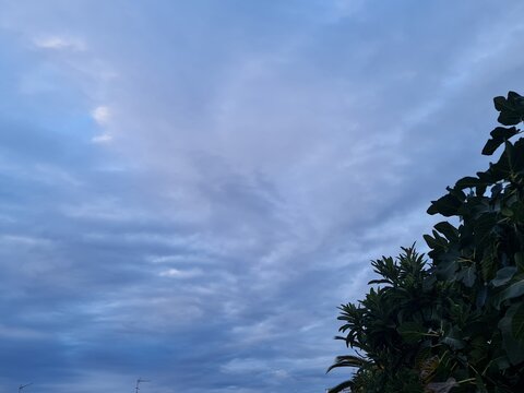 Naturaleza en toda su belleza