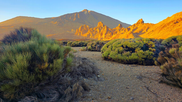 El Teide National Park, UNESCO World Heritage Site, Tenerife, Canary Islands, Spain, Atlantic