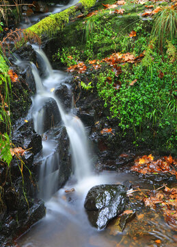 Miniature unnamed waterfall, Pyrddin Gorge, Pontneddfechan, Neath Valley, South Wales, United Kingdom