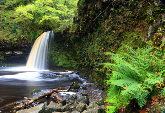 Sgwd Gwladys waterfall, Pyrddin Gorge, Pontneddfechan, Neath Valley, South Wales, United Kingdom
