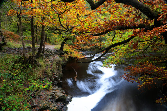 River Pyrddin, Pontneddfechan, Neath Valley, South Wales, United Kingdom