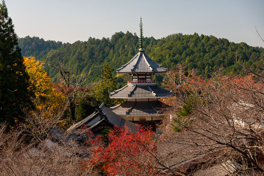 Kinpusenji Temple and red autumn leaves of maple trees, Yoshino Yama holy temple mountain near Nara, Honshu, Japan