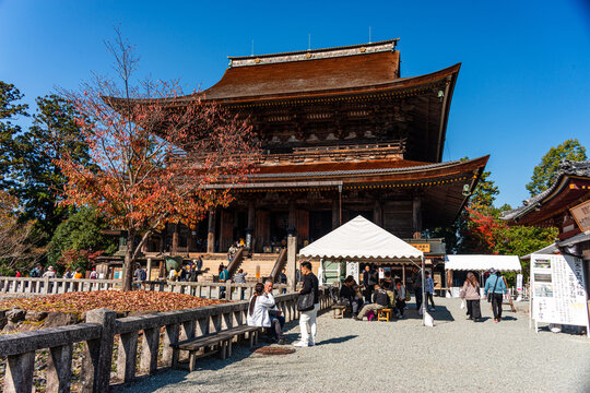 Autumn at Yoshino Yama holy temple mountain near Nara, Honshu, Japan