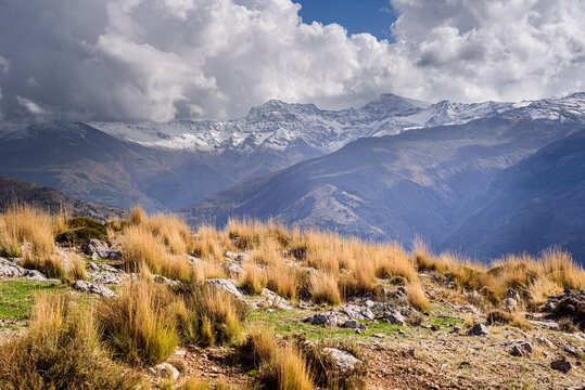 Dreamy mountain landscapes of Sierra Nevada Mulhacen, Alcazaba, Pico del Veleta wth snowy peaks, and golden dry alpine grassland, Granada, Andalusia, Spain