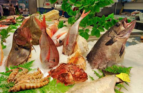 Fish market, La Bretxa, San Sebastian, Bay of Biscay, province of Gipuzkoa, Basque Country, Spain