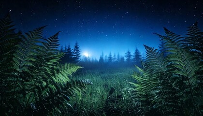 Nacht im Wald