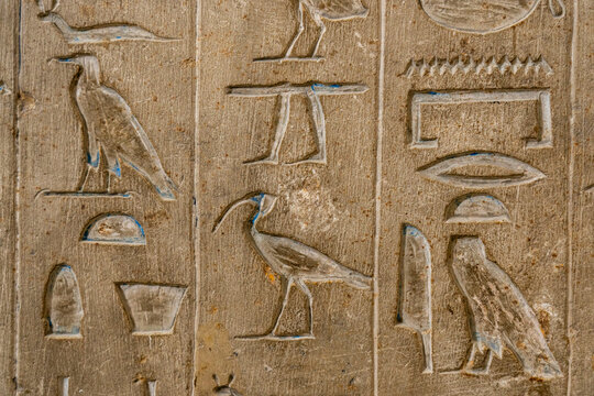 Hieroglyphics in the interior of the pyramid of Unas, complex of Saqqara, UNESCO World Heritage Site, Egypt, North Africa