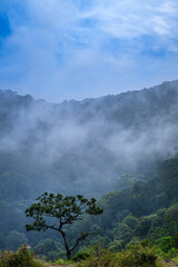 Fototapeta premium clouds over the mountain