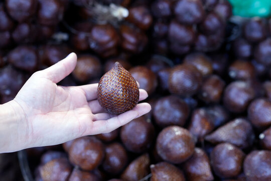 Salak fruit (snake fruit) for sale at local food market, Yogyakarta, Java, Indonesia, Southeast Asia