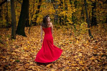 Autumn photo session of a girl with red dress