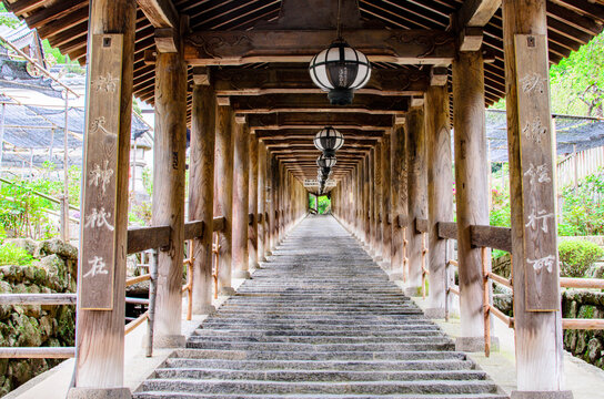 長谷寺 ( Hase Dera )