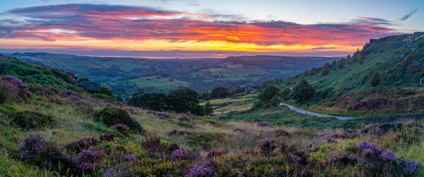 View of landscape from Curbar Edge with purple flowering heather at sunset, Peak District National Park, Baslow, Derbyshire, England, United Kingdom